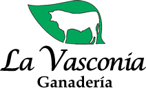 Mario Petracco